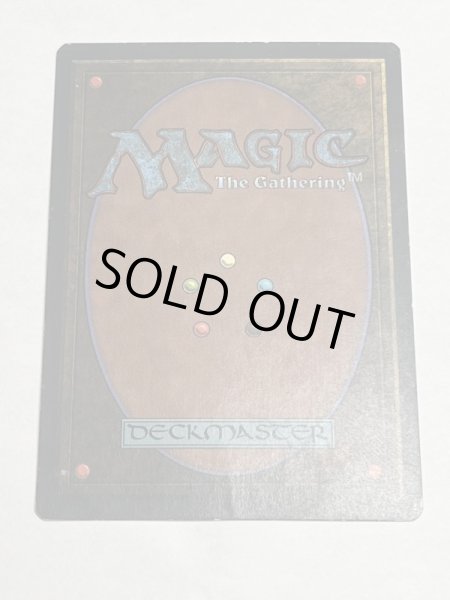 画像6: 《Taiga》3ED HP (6)