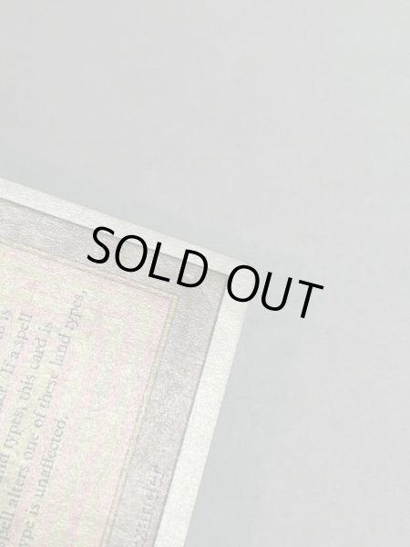 画像8: 《Taiga》3ED HP (8)