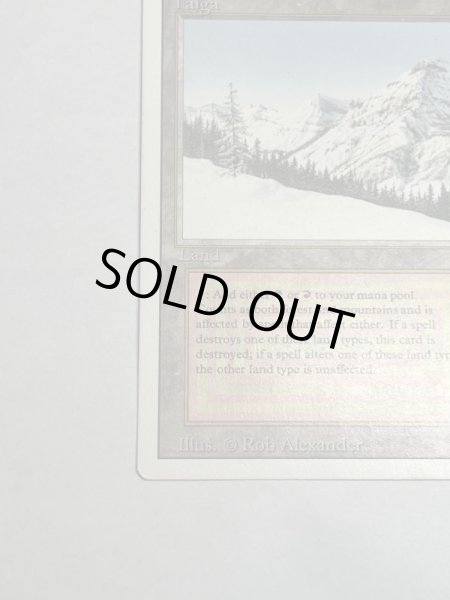 画像4: 《Taiga》3ED SP (4)