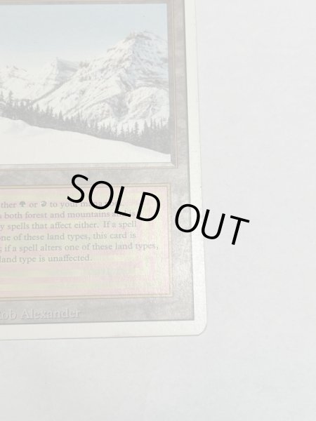 画像5: 《Taiga》3ED SP (5)