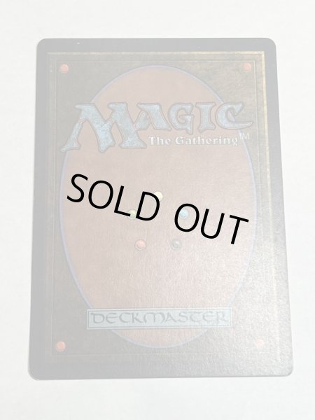 画像6: 《Taiga》3ED SP (6)