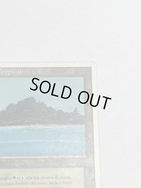 画像3: 《Tropical Island》 3ED Poor イタリア語 (3)