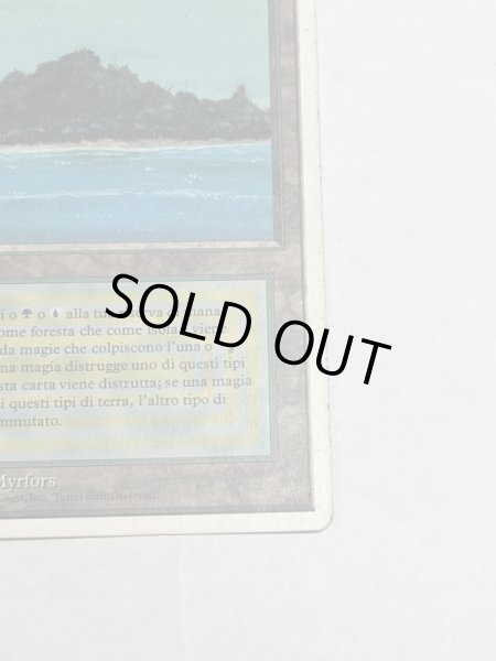 画像5: 《Tropical Island》 3ED Poor イタリア語 (5)