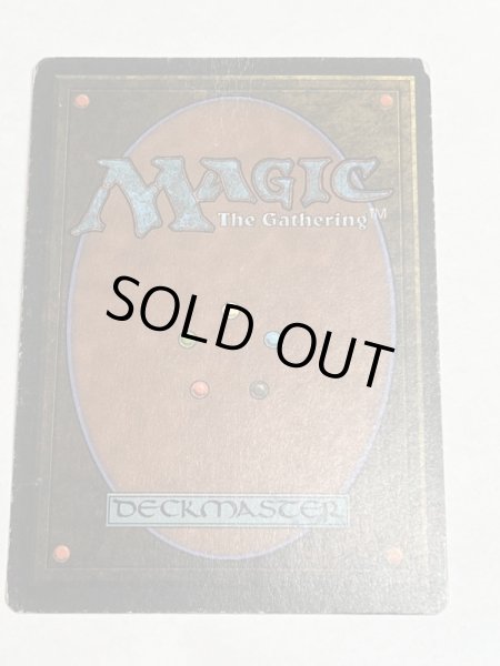 画像6: 《Tropical Island》 3ED Poor イタリア語 (6)