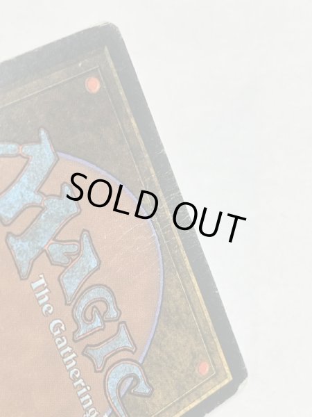 画像7: 《Tropical Island》 3ED Poor イタリア語 (7)