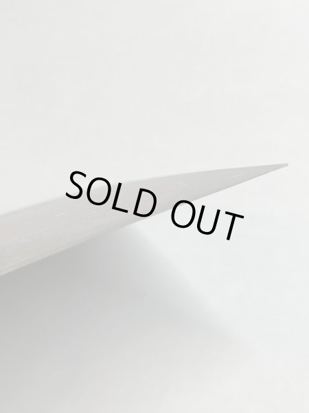 画像8: 《Tropical Island》 3ED Poor イタリア語 (8)