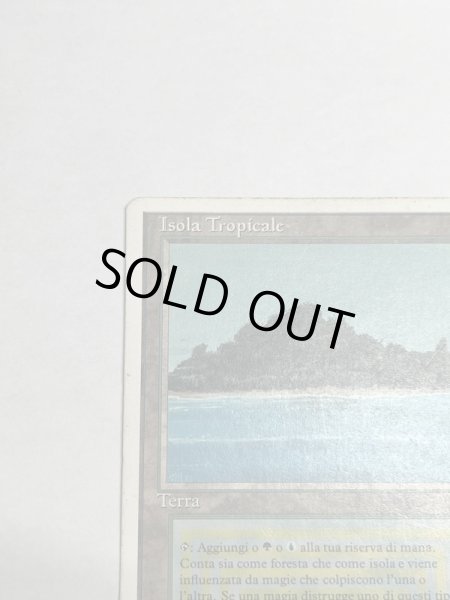 画像2: 《Tropical Island》 3ED Poor イタリア語 (2)