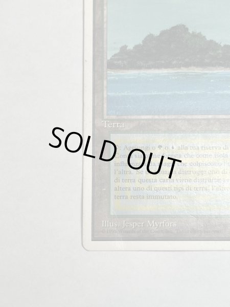 画像4: 《Tropical Island》 3ED Poor イタリア語 (4)