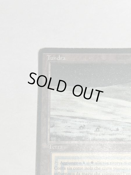 画像2: 《Tundra》[3EDBB]  HP イタリア語 (2)