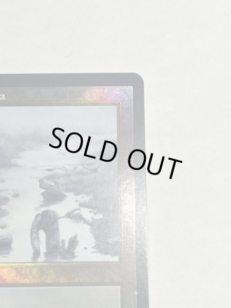 画像3: 【Foil】《汚染された三角州/Polluted Delta》[ONS] (3)