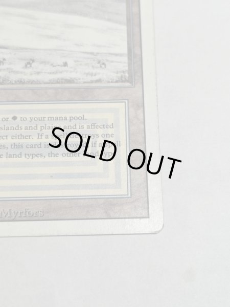 画像5: 《Tundra》3ED MP (5)