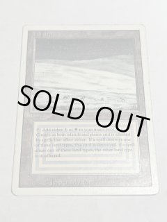 Tundra - MTG専門店 Initiative Tundra - MTG専門店 Initiative