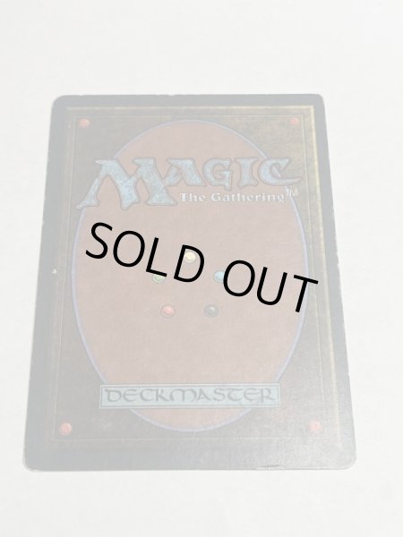 画像6: 《Tundra》3ED HP (6)