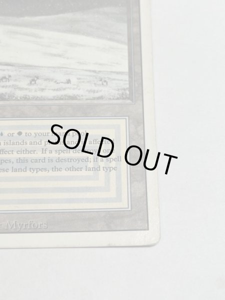 画像5: 《Tundra》3ED HP (5)