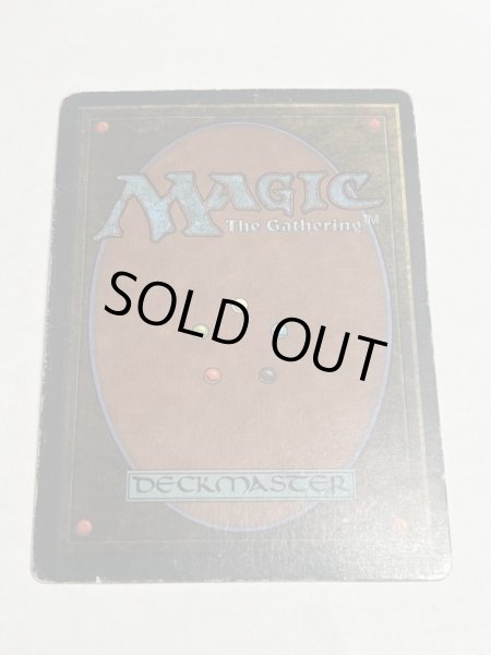 画像6: 《Tundra》3ED HP (6)