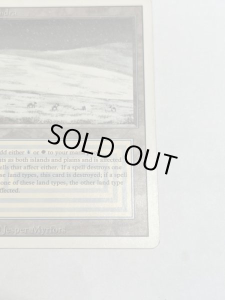 画像5: 《Tundra》3ED HP (5)