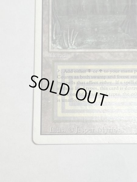 画像4: 《Bayou》[3ED] HP (4)