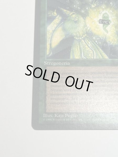 画像4: イタリア語《Eureka》[LEG] SP (4)