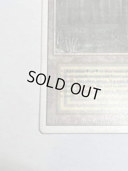 画像4: 《Bayou》3ED Poor (4)