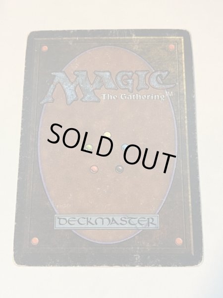 画像6: 《Tropical Island》 3ED HP (6)