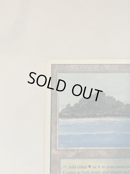 画像2: 《Tropical Island》 3ED HP (2)