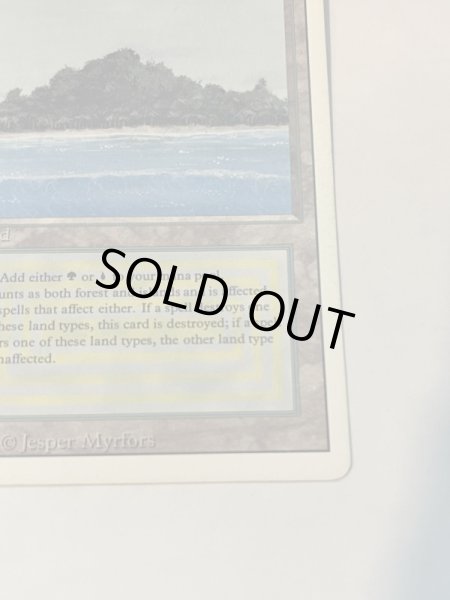 画像5: 《Tropical Island》 3ED HP (5)