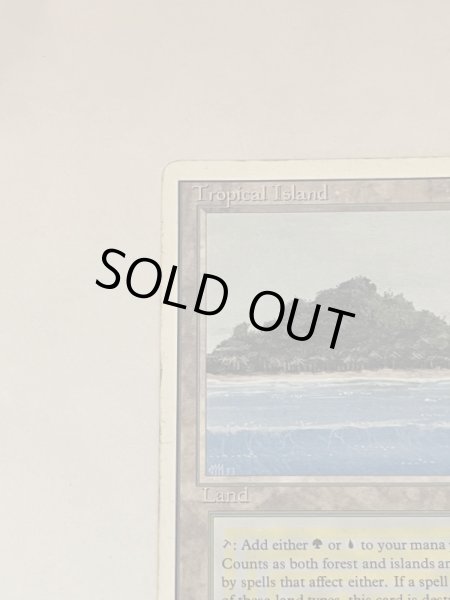 画像2: 《Tropical Island》 3ED HP (2)