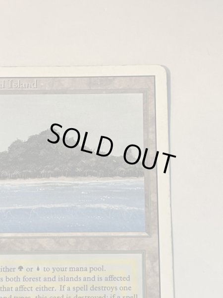 画像3: 《Tropical Island》 3ED HP (3)