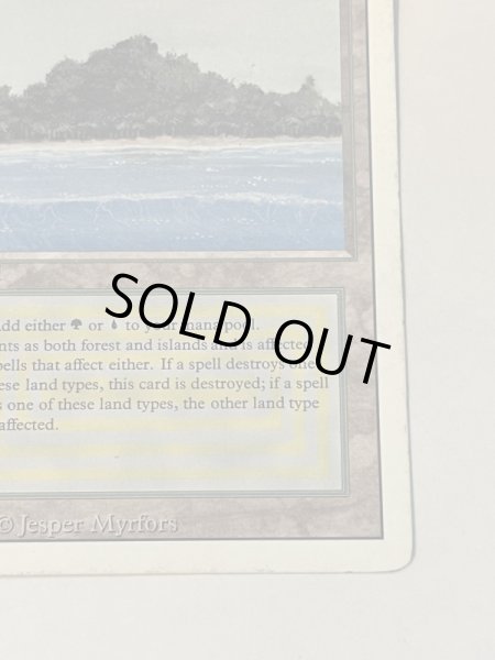 画像5: 《Tropical Island》 3ED HP (5)