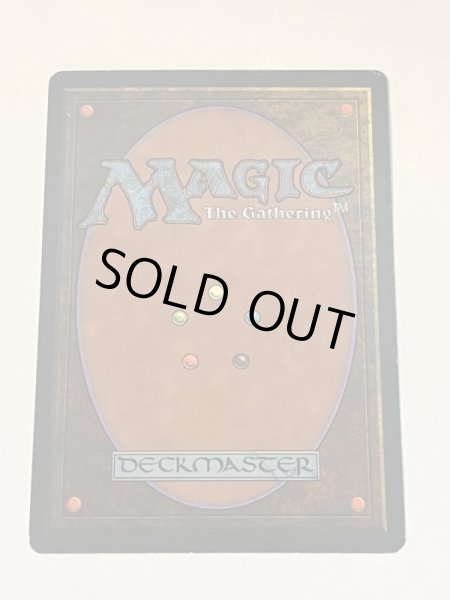 画像6: 《Tropical Island》 3ED SP (6)