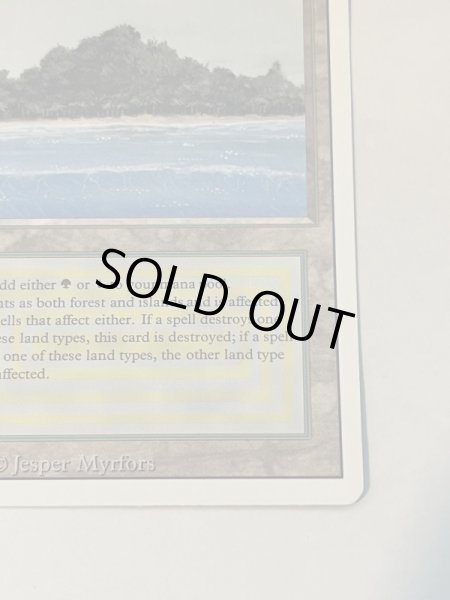 画像5: 《Tropical Island》 3ED NM (5)