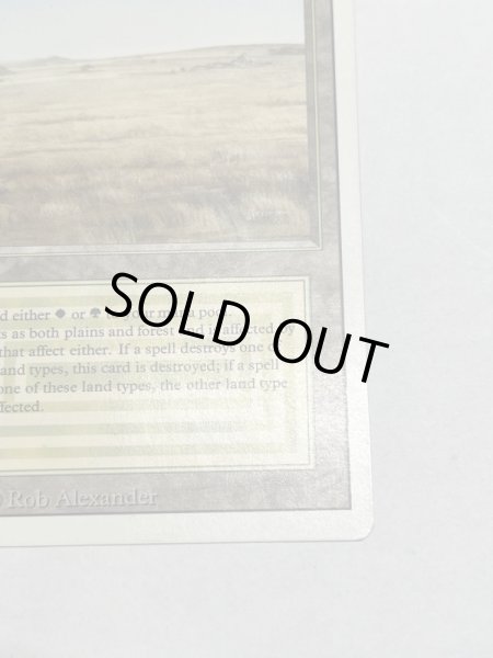 画像5: 《Savannah》[3ED] SP (5)