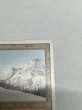 画像3: 《Taiga》3ED MP (3)