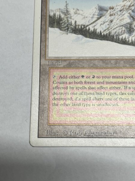 画像4: 《Taiga》3ED MP (4)