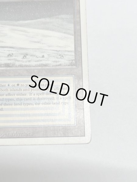 画像5: 《Tundra》3ED HP (5)