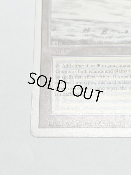 画像4: 《Tundra》3ED HP (4)