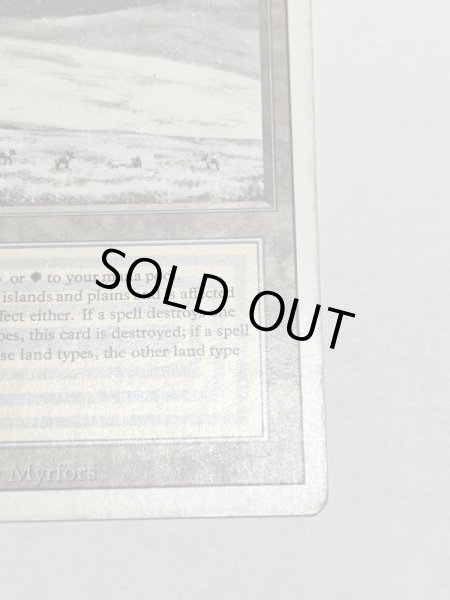 画像5: 《Tundra》3ED HP (5)