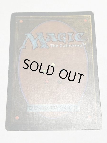 画像6: 《Tundra》3ED HP (6)