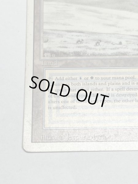 画像4: 《Tundra》3ED HP (4)