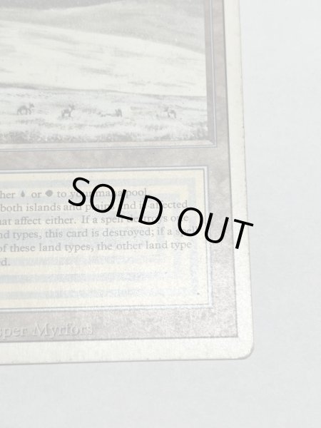 画像5: 《Tundra》3ED HP (5)