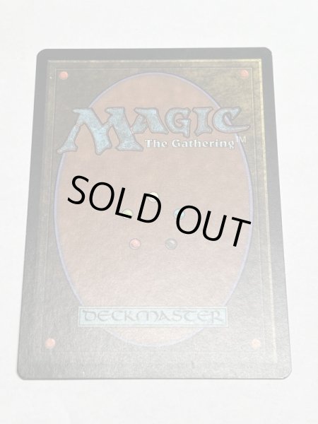 画像6: 《沼/Swamp》[Guruランド] SP (6)