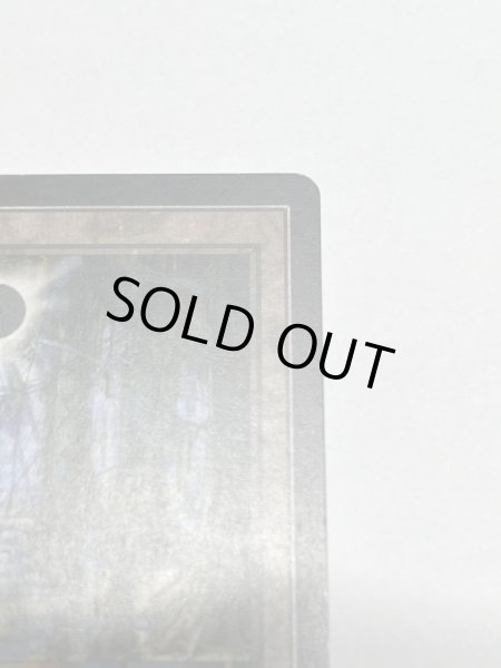 画像3: 《沼/Swamp》[Guruランド] SP (3)