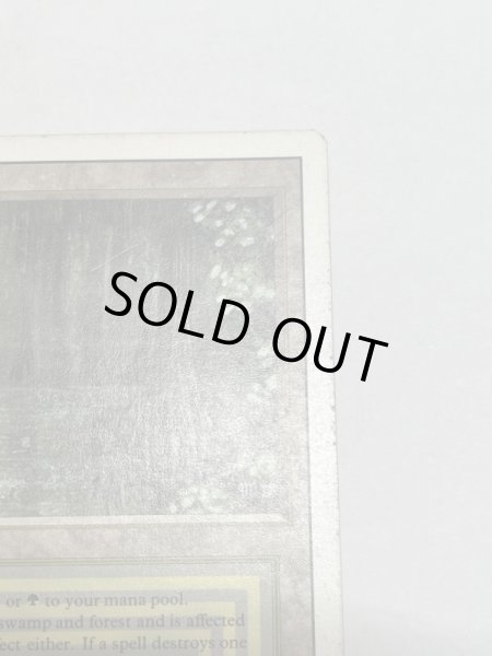 画像3: 《Bayou》[3ED] MP (3)