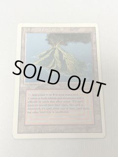 Volcanic Island - MTG専門店 Initiative