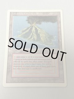 Volcanic Island - MTG専門店 Initiative
