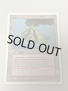 Volcanic Island - MTG専門店 Initiative