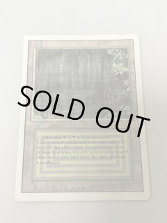 Bayou - MTG専門店 Initiative