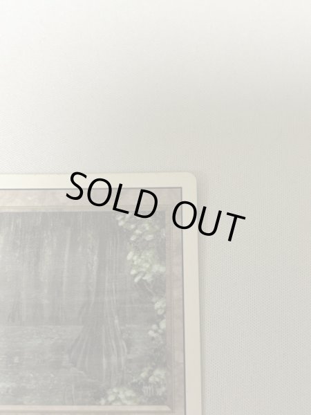 画像3: 《Bayou》[3ED] SP (3)