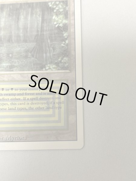 画像5: 《Bayou》[3ED] SP (5)