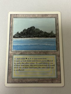 マジック：ザ・ギャザリング Tropical  [3ED] マジック：ザ・ギャザリング - MTG Tropical Island 英語 リバイズド